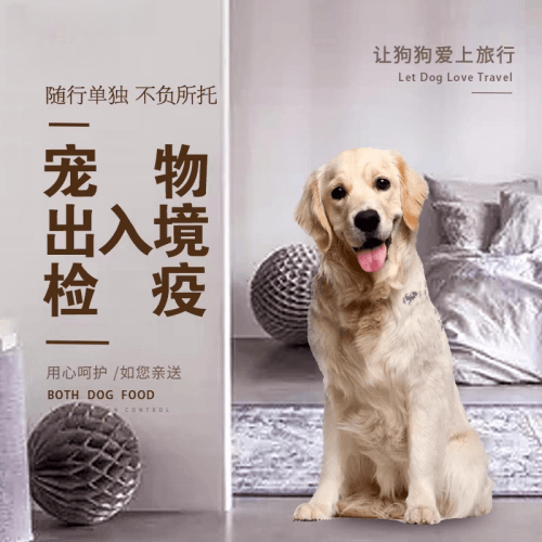 潍坊市宠物托运到哥伦比亚猫狗宠物入境规定和
