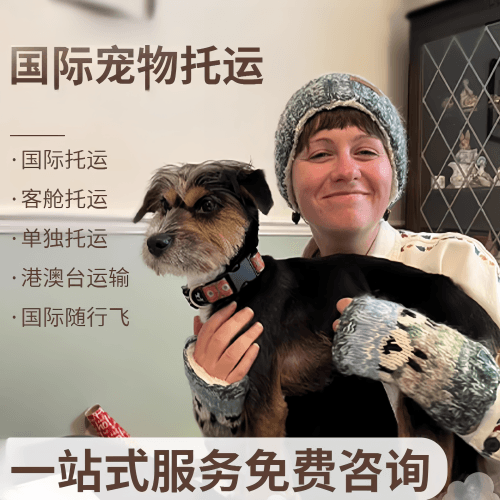 潍坊市国际宠物托运到阿根廷宠物入境规定和要