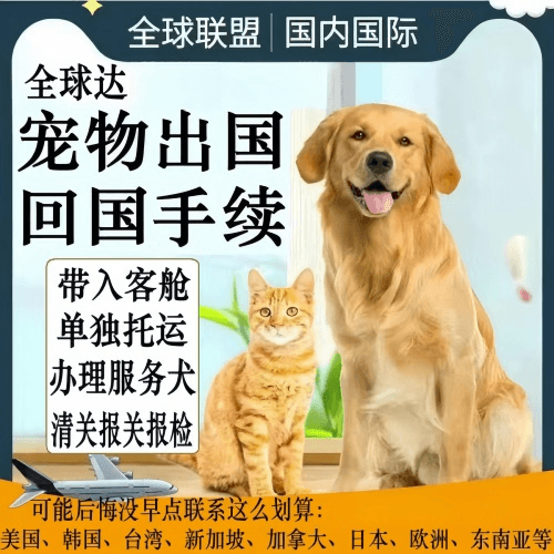 潍坊市宠物托运到柬埔寨宠物入境规定和要求