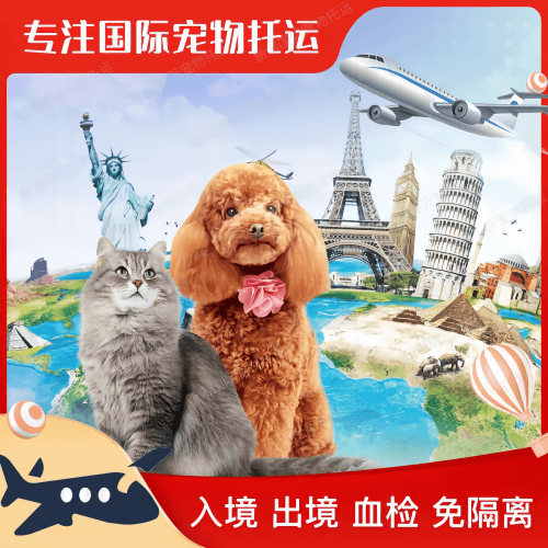 潍坊市宠物托运到美国宠物入境最新规定和要求