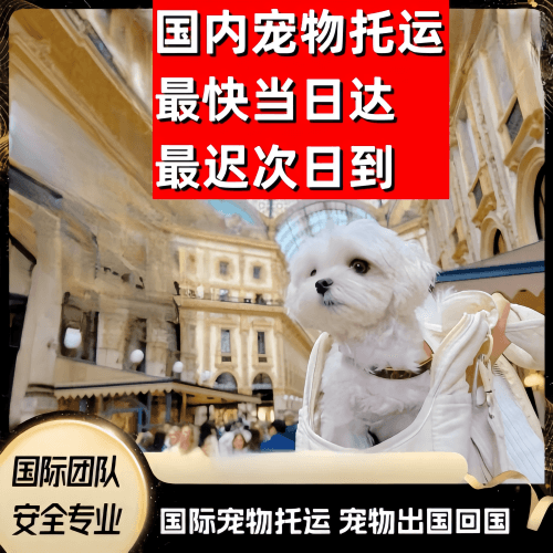 潍坊市到澳大利亚（澳洲）宠物入境规定和要求