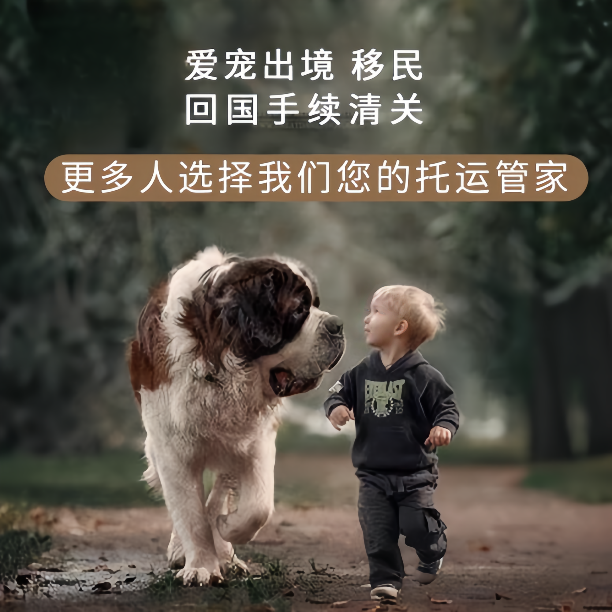 满财潍坊市宠物全球达宠物托运在遵守入境目的地政策的条件
