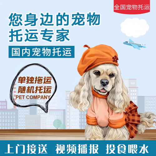 满财潍坊市宠物全球达宠物托运作为专业的宠物运输代理机构